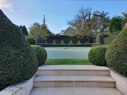 tennis court with steps and hedges