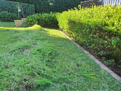 weed removal in progress