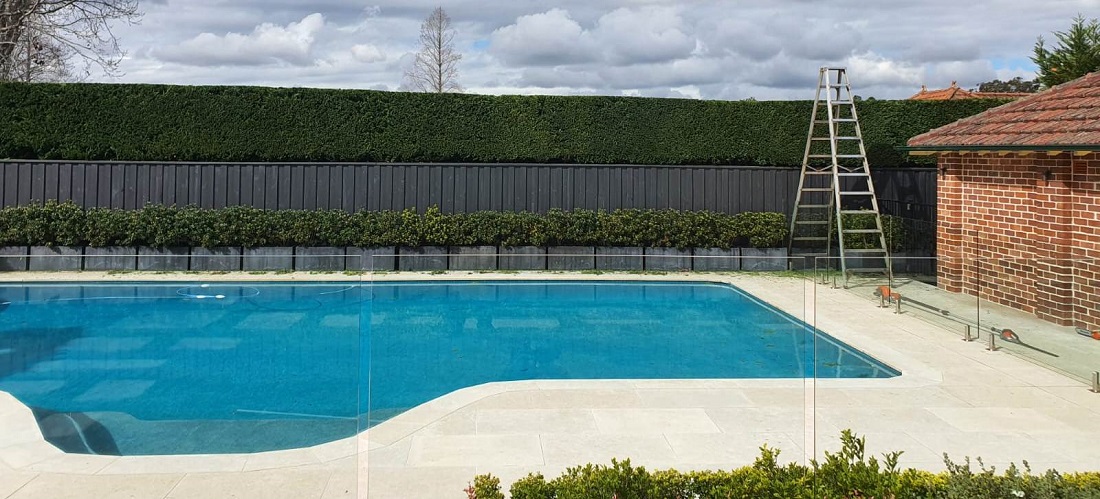 Hedge near a pool
