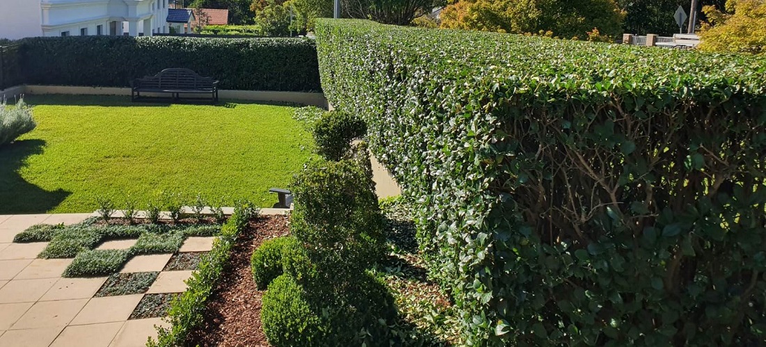 Hedges and Tiles