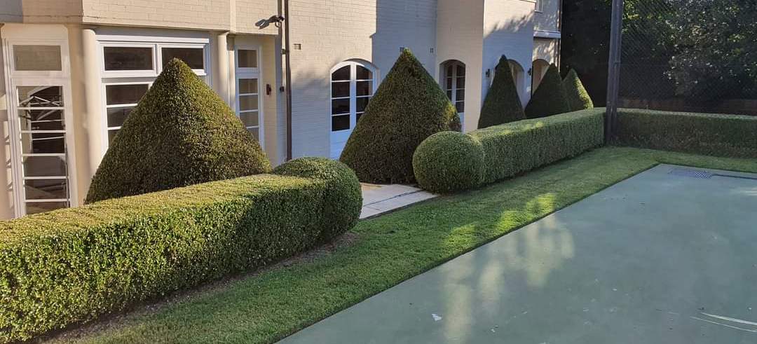 Greenway Gardens house with topiary
